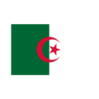 Arabic flag